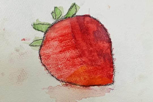 Atelier illustration botanique - Dessin à l'aquarelle d'une fraise